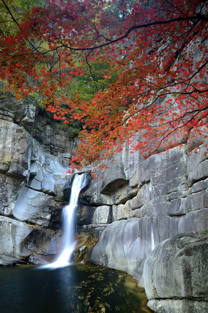 Maple Waterfall