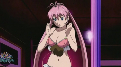  - Anime - Lingerie Fighter Papillon Rose -  ,    OVA [2003]