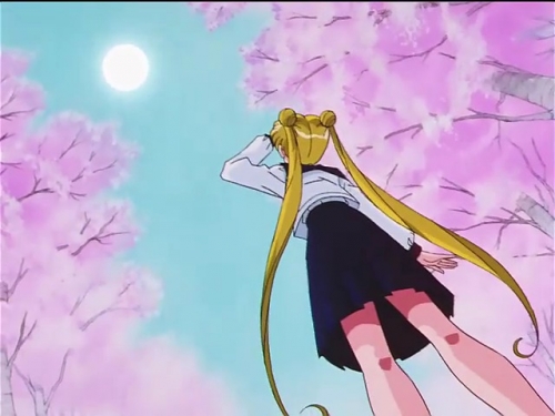  - Anime - Sailor Moon Sailor Stars - -  : - [1996]
