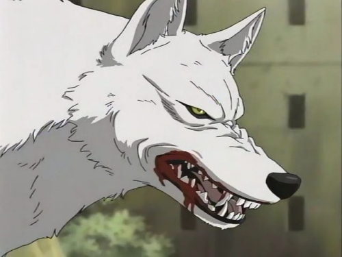  - Anime - Wolf's Rain TV -   [] [2003]