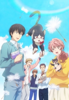 My Roommate Is a Cat, Doukyonin wa Hiza, Tokidoki, Atama no Ue.,  ,     ,      ,    , , anime