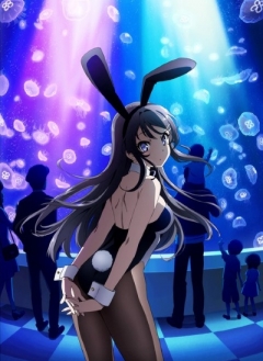 Rascal Does Not Dream of Bunny Girl Senpai, Seishun Buta Yarou wa Bunny Girl Senpai no Yume o Minai,       -!, , anime, 