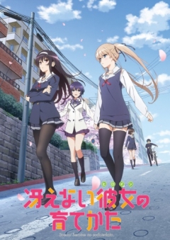 Saekano: How to Raise a Boring Girlfriend, Saenai Heroine no Sodatekata,    , , anime, 