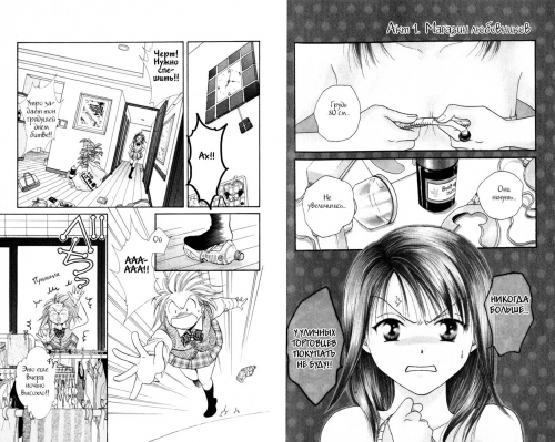  -
            Manga - Absolute Boyfriend -   () [2003]