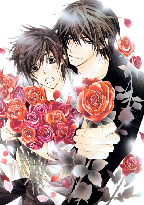  - Manga -      - Sekai-ichi Hatsukoi: Onodera Ritsu no Baai () [2008]