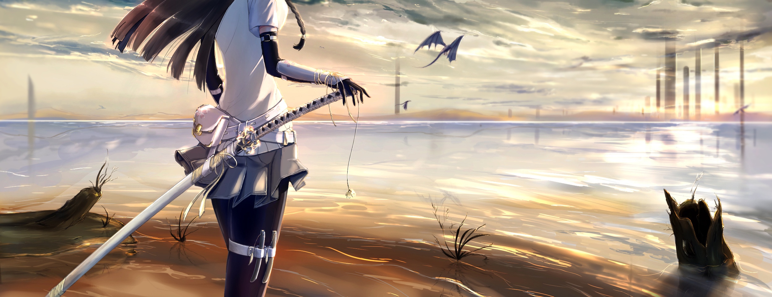Anime, CG, Pictures, animal, black, hair, braids, gloves, long, pantyhose, skirt, sunset, sword, warrior, water, weapon, , , picture, , |, , 
