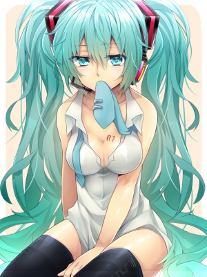 Vocaloid : Hatsune Miku 103275
 586394  vocaloid  hatsune miku   ( Anime CG Anime Pictures      ) 103275   : Uruhara Ryuuku
blue eyes hair headphones long microphone tattoo thigh highs twin tails   anime picture