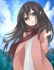 Shingeki no Kyojin : Mikasa Ackerman 103401
black eyes hair happy jacket long scarf sky   anime picture