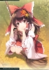 Touhou : Hakurei Reimu 103485
autumn brown eyes hair long miko ribbon smile   anime picture