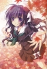 The World Is Mine. : Hananomiya Ako 103525
ahoge autumn blush long hair purple eyes ribbon seifuku   anime picture