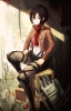 Shingeki no Kyojin : Mikasa Ackerman 104196
black eyes hair boots garter jacket pants scarf short weapon   anime picture