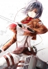 Shingeki no Kyojin : Mikasa Ackerman 104380
blue eyes hair garter jacket pants scarf short weapon   anime picture