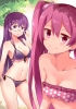 Akame ga Kill! : Mein Schere 181441
bikini blush long hair megane pink purple eyes red smile twin tails   anime picture