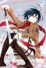 Shingeki no Kyojin : Mikasa Ackerman 182018
black hair blue eyes boots flower garter scarf short sword uniform   anime picture