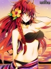 Psychic Hearts :  182753
ahoge bikini blush braids flower headdress long hair red eyes sky summer sunset water   anime picture