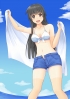 Anime CG Anime Pictures      182779
bikini black hair blush brown eyes happy long shorts sky water   anime picture