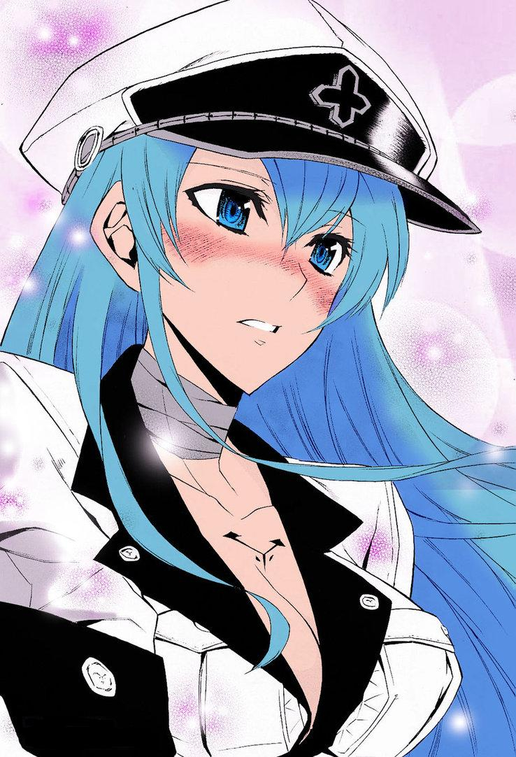 Akame, Kill, Esdeath, blue, eyes, hair, blush, long, manga, , , anime, picture, , |, , , pictures