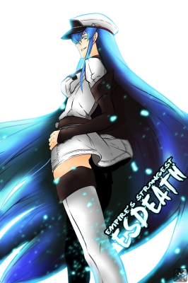 Akame ga Kill! : Esdeath 182934
 669560  akame ga kill  esdeath   ( Anime CG Anime Pictures      ) 182934 
blue eyes hair boots dress hat long smile thigh highs   anime picture