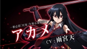 Akame ga Kill! : Akame 182930
black hair dress gloves long red eyes sword tie   anime picture