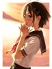 The Idolmaster : Kikuchi Makoto 183255
ahoge blush brown eyes hair hairpins short sky sunset water   anime picture