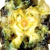 Vocaloid Kagamine Rin and Len 1001
vocaloid  Kagamine Rin Len      anime pixx girls        art fanart picture