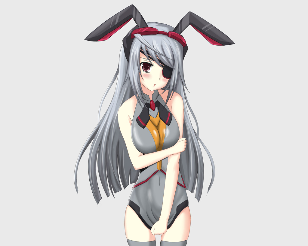 IS Infinite Stratos 269 - 65208