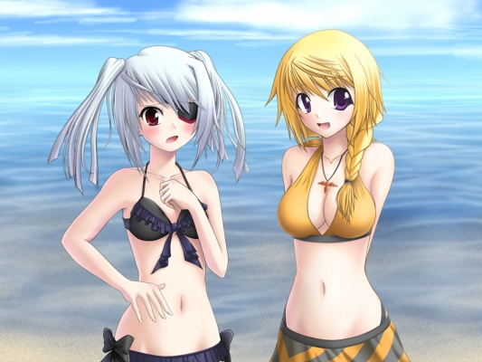 IS Infinite Stratos 36
      , 36. Anime picture wallpapers from IS Infinite Stratos (pixx, art, fanart, photo) 36
 IS Infinite Stratos   pixx girls      art wallpapers fanart picture