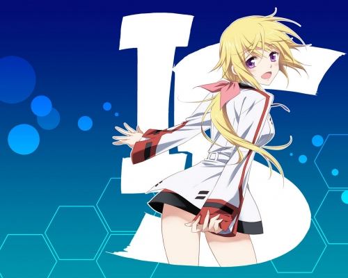 IS Infinite Stratos 170
      , 170. Anime picture wallpapers from IS Infinite Stratos (pixx, art, fanart, photo) 170
 IS Infinite Stratos   pixx girls      art wallpapers fanart picture
