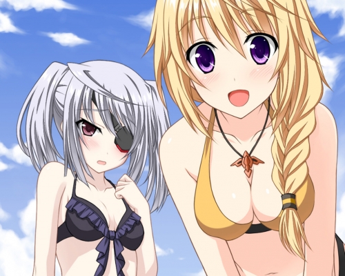 IS Infinite Stratos 251
      , 251. Anime picture wallpapers from IS Infinite Stratos (pixx, art, fanart, photo) 251
 IS Infinite Stratos   pixx girls      art wallpapers fanart picture