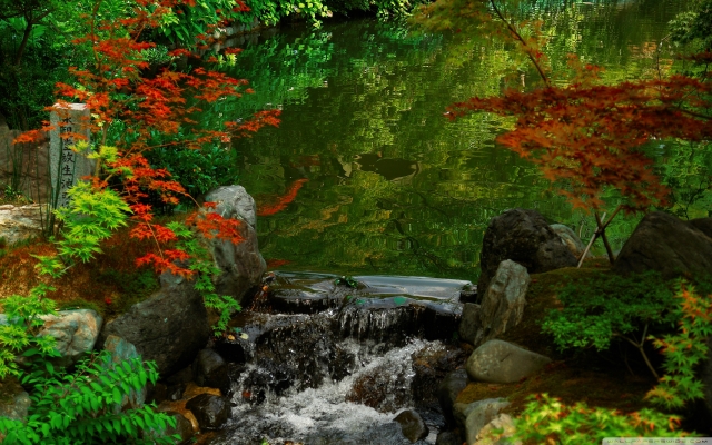 Kyoto Japan wallpaper - 15
Kyoto Japan photo 15. .  . kyoto garden japan wallpaper  .
japan   kyoto wallpaper 