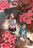 Kawaii girl - 372
   pictures wallpaper wallpapers    anime  kawaii  girl   