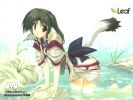 Utawarerumono
Utawarerumono