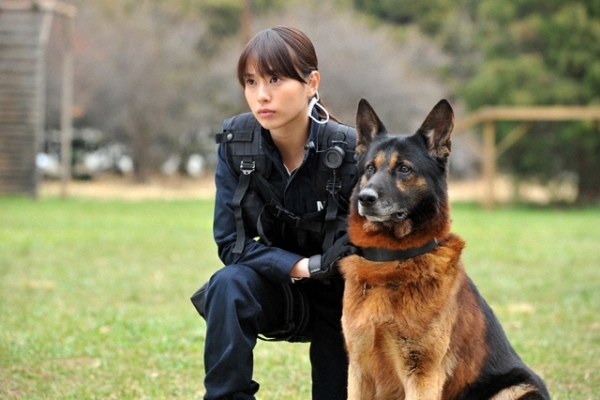 dog police small photo   7 
dog police small photo   ( Movies DOG x POLICE  ) 7 
dog police small photo   Movies DOG x POLICE  