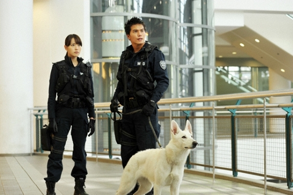 dog police small photo   14 
dog police small photo   ( Movies DOG x POLICE  ) 14 
dog police small photo   Movies DOG x POLICE  