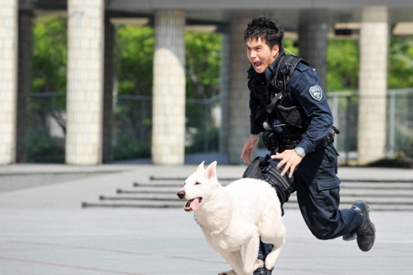 dog police small photo   20 
dog police small photo   ( Movies DOG x POLICE  ) 20 
dog police small photo   Movies DOG x POLICE  