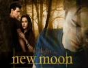 Twilight Saga New Moon Calendar 2010 HQ 012
Twilight 