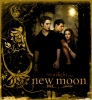 Twilight Saga New Moon Calendar 2010 HQ 001
Twilight 