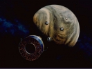 Обои космос - Venus Pioneer Probes
Venus Pioneer Probes космос space nasa