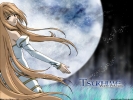 Moon and Women
Shingetsutan Tsukihime