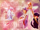 Sailor moon 111111
Sailor moon