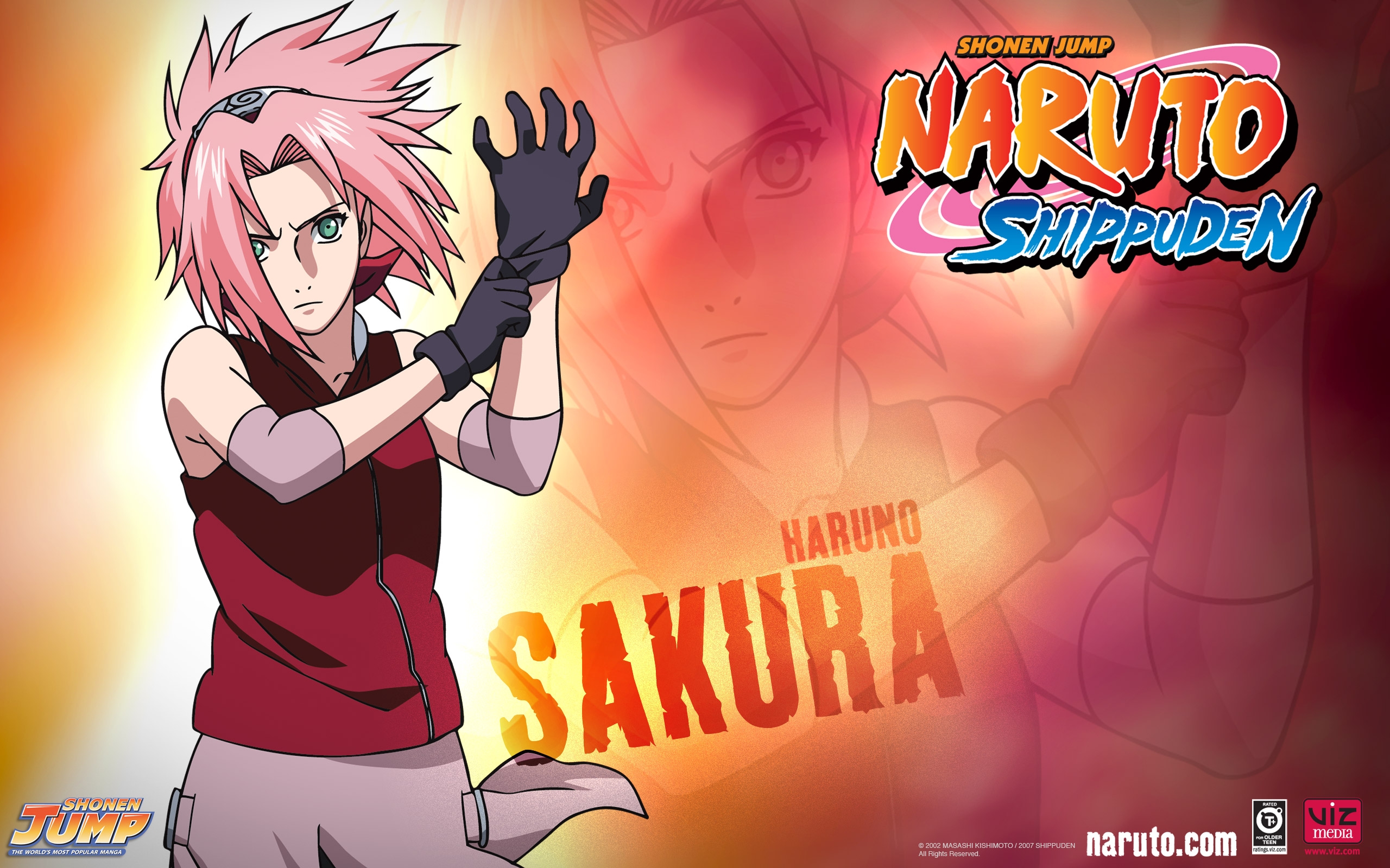 Naruto_Shippuden_Sakura, Naruto, Shippuden, Sakura