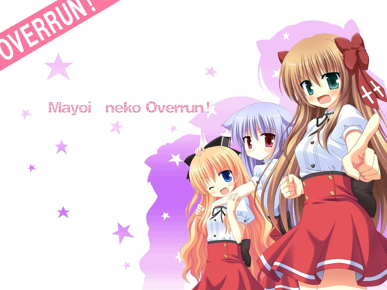 Mayoi, Neko, Overrun, Stray, Cats, , , 