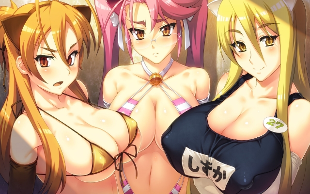 Highschool of the dead 013
Highschool of the dead wallpaper