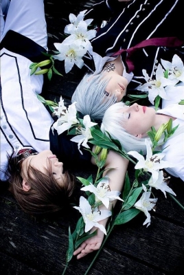 Vampire Knight Cosplay 016
 Vampire Knight Cosplay  