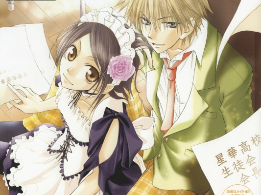 Kaichou wa Maid-sama! 009
 Kaichou wa Maid sama wallpaper