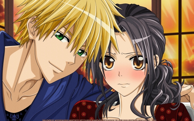 Kaichou wa Maid-sama! 005
 Kaichou wa Maid sama wallpaper