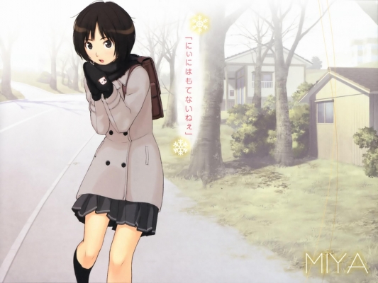 Amagami SS Wallpapers 012
 Amagami SS Wallpaper