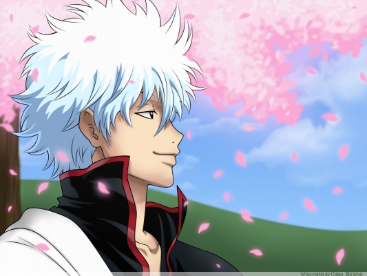 Gintama Wallpaper 035
 Gintama Silver Soul Wallpaper