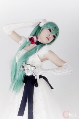 Hatsune Miku by K Miyuko
 Hatsune Miku K Miyuko cosplay