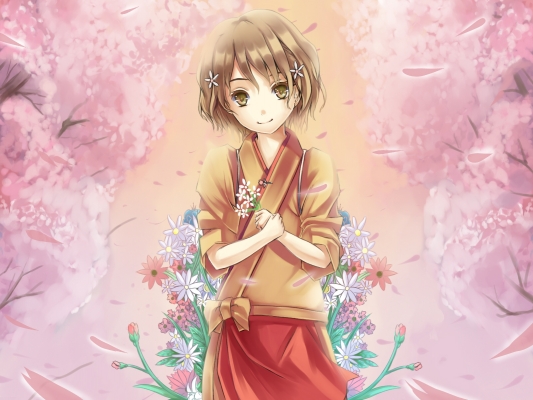 Hana-Saku Irona Wallpaper 096
 Hana Saku Irona Wallpaper   